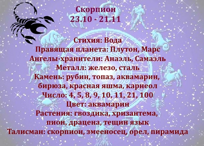 Скорпион Гороскоп На Завтра Сонник