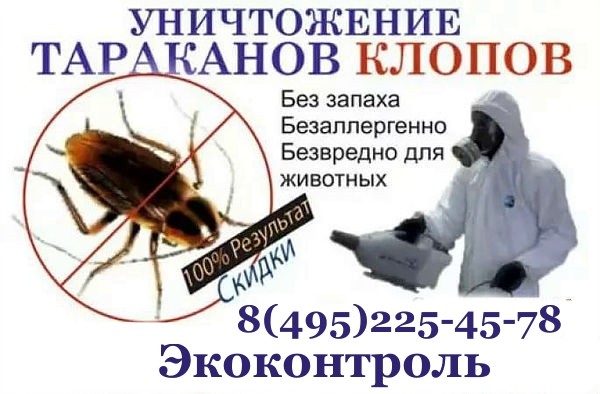 Эффективные ловушки комаров