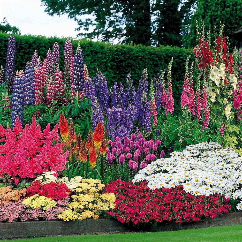 Цветущие комнатные растения: 23 популярных вида с фото