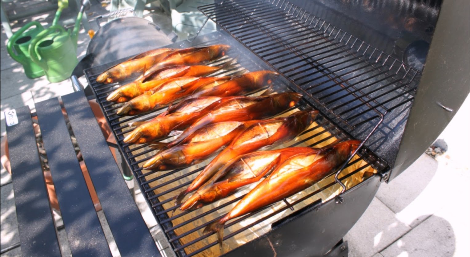 Как коптить рыбу в коптильне горячего копчения: рецепты, как подготовить к приготовлению