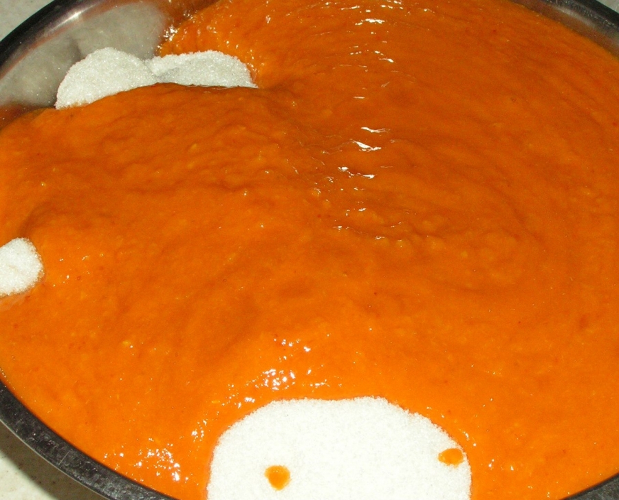 Детское пюре из абрикос в домашних условиях. абрикосовое пюре для детей. способы приготовления пюре из абрикосов в домашних условиях