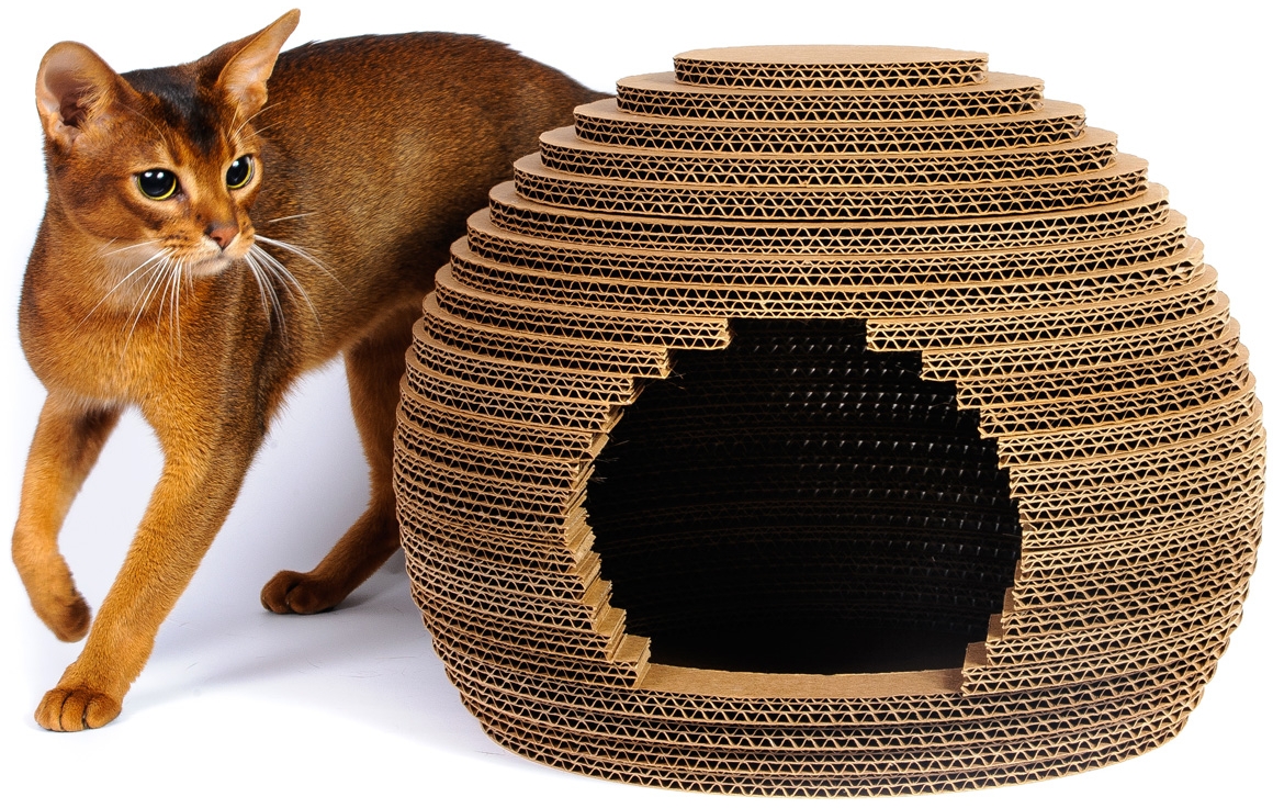 Домик для кошки или кота своими руками: конструкции, размеры, 72 фото