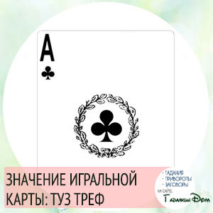 Туз червей: [значение карты в гадании]