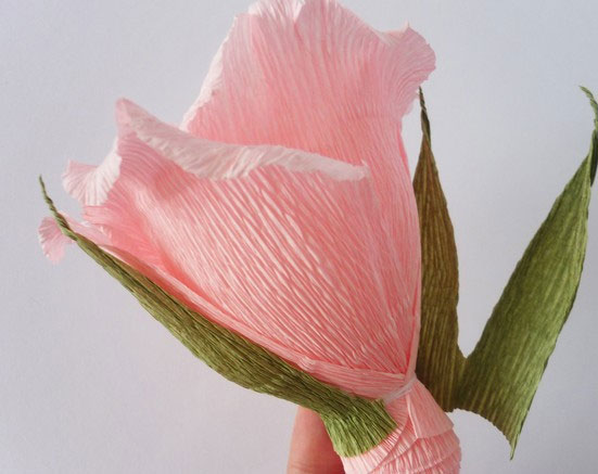 Как сделать розу из гофрированной бумаги своими руками дома с подробной инструкцией и фото. где и как можно использовать розы из гофрированной бумаги