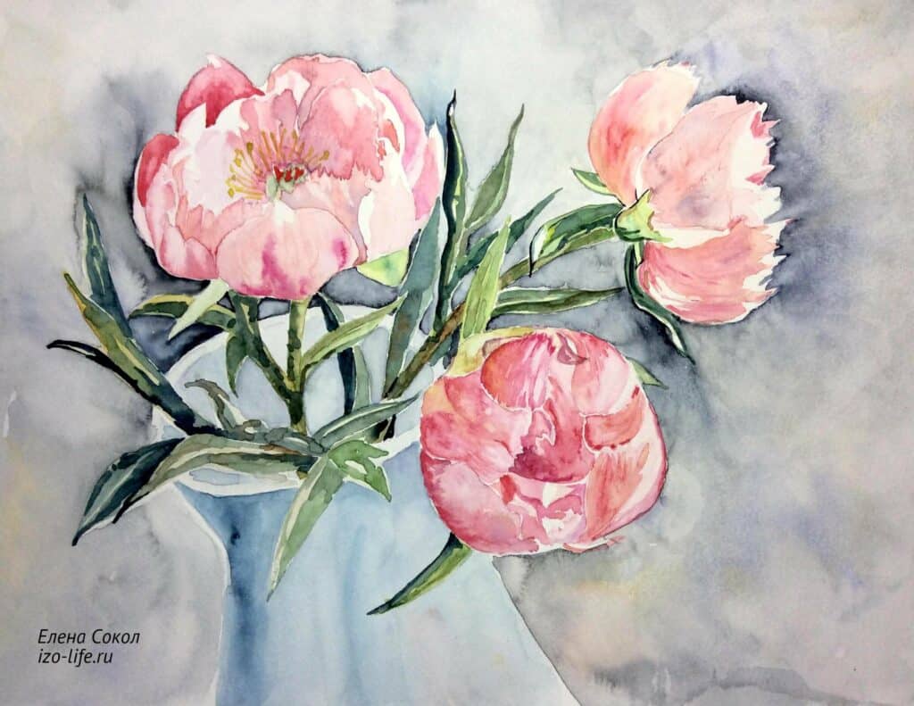 Акварельная живопись flower drawing art, акварельные цветы, розовый цветок с лепестками png | hotpng