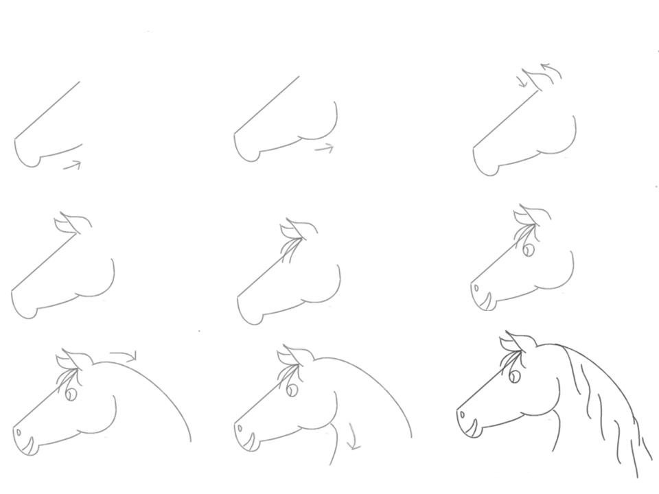Как рисовать животных: лошади, их анатомия и позы