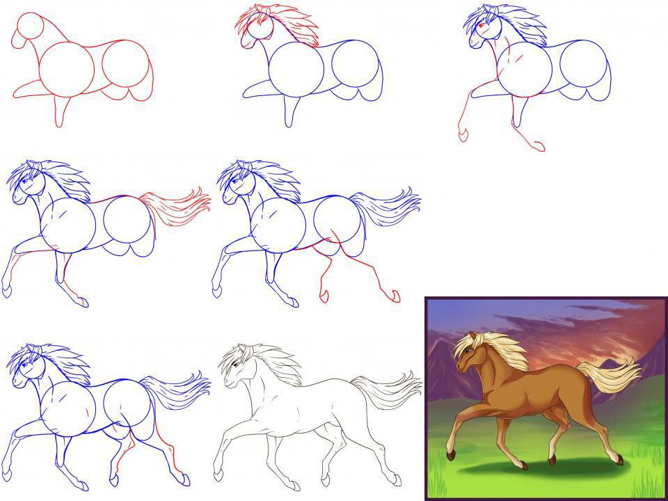 Как рисовать животных: лошади, их анатомия и позы