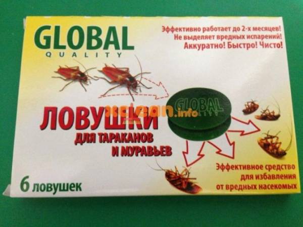 Ловушки для комаров: дорогие новинки против бюджетных вариантов // нтв.ru