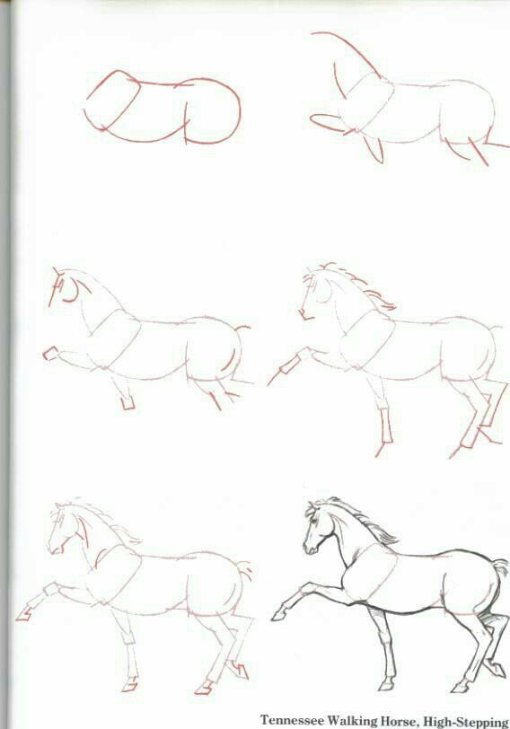 Как нарисовать лошадь в полный рост  поэтапно 3 урока
