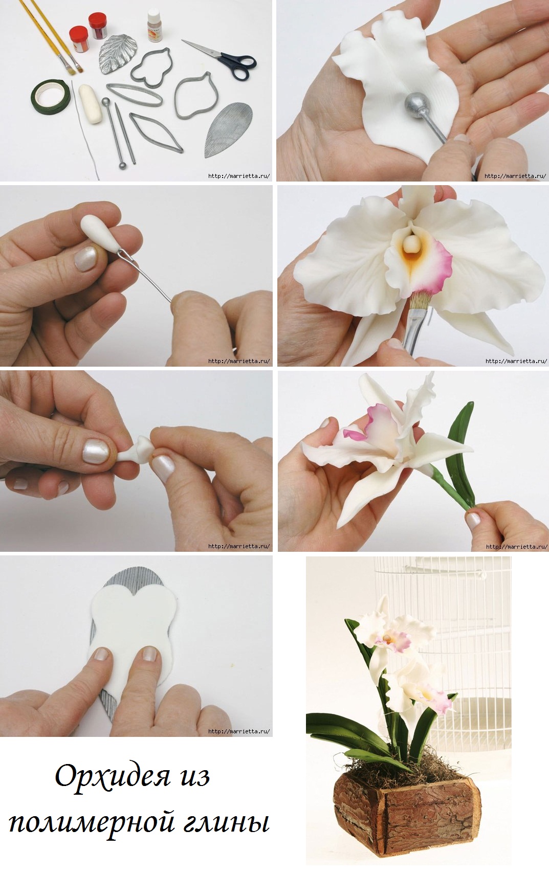 Мастер-класс "орхидея из холодного фарфора" | страна мастеров