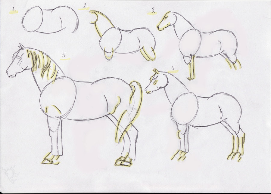 Как нарисовать лошадь поэтапно карандашом. топ вариантов для начинающих
