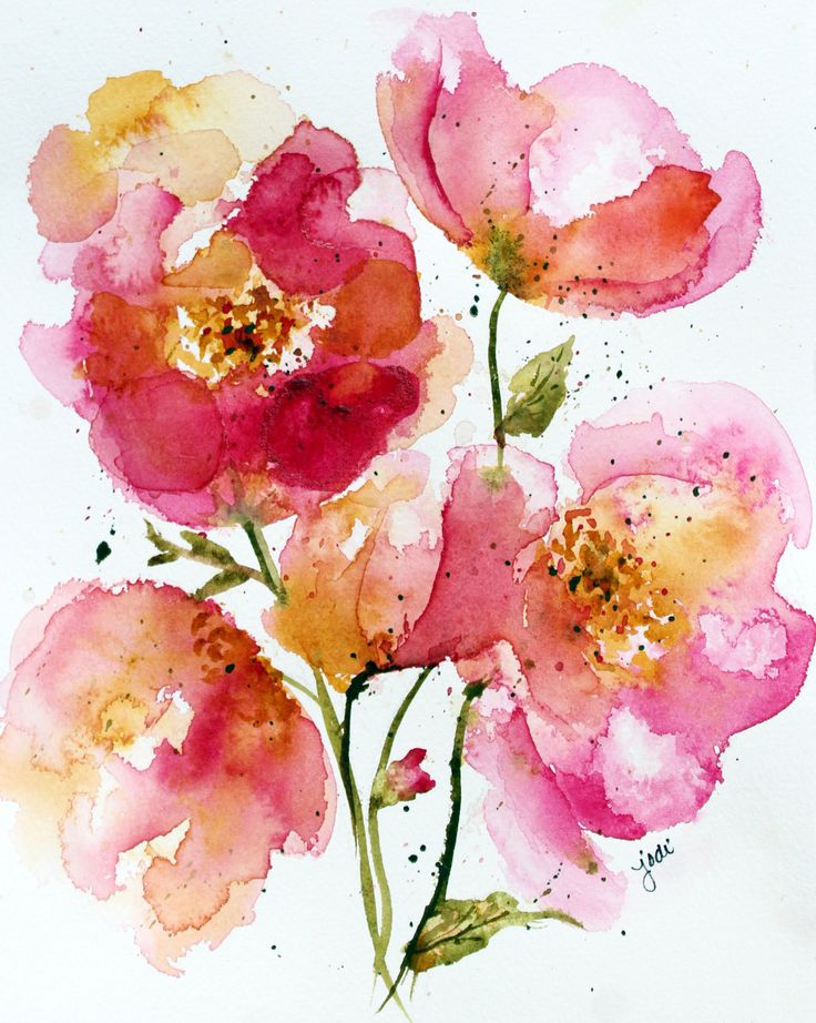 Акварельная живопись цветок, акварельные цветы, белые и оранжевые цветы png | hotpng