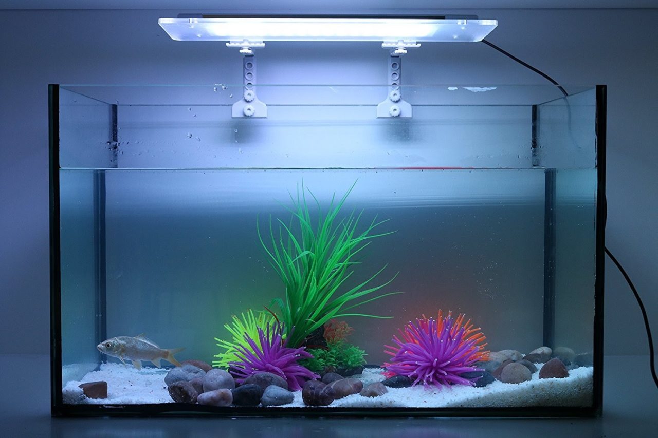 Освещение аквариума своими руками: подбор ламп и расчет мощности