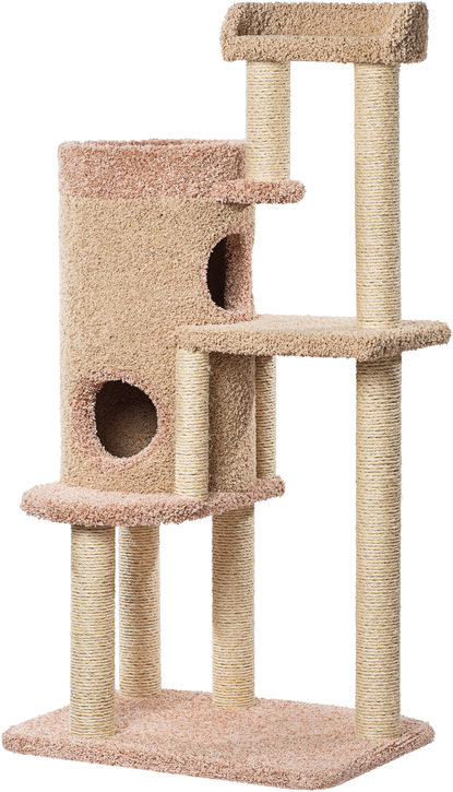 Игровые комплексы для кошек (61 фото): настенные модели, большие комплексы для котов крупных пород, модульные угловые варианты из дерева