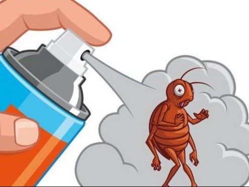 Эффективные ловушки комаров - служба дезинфекции "экоконтроль"