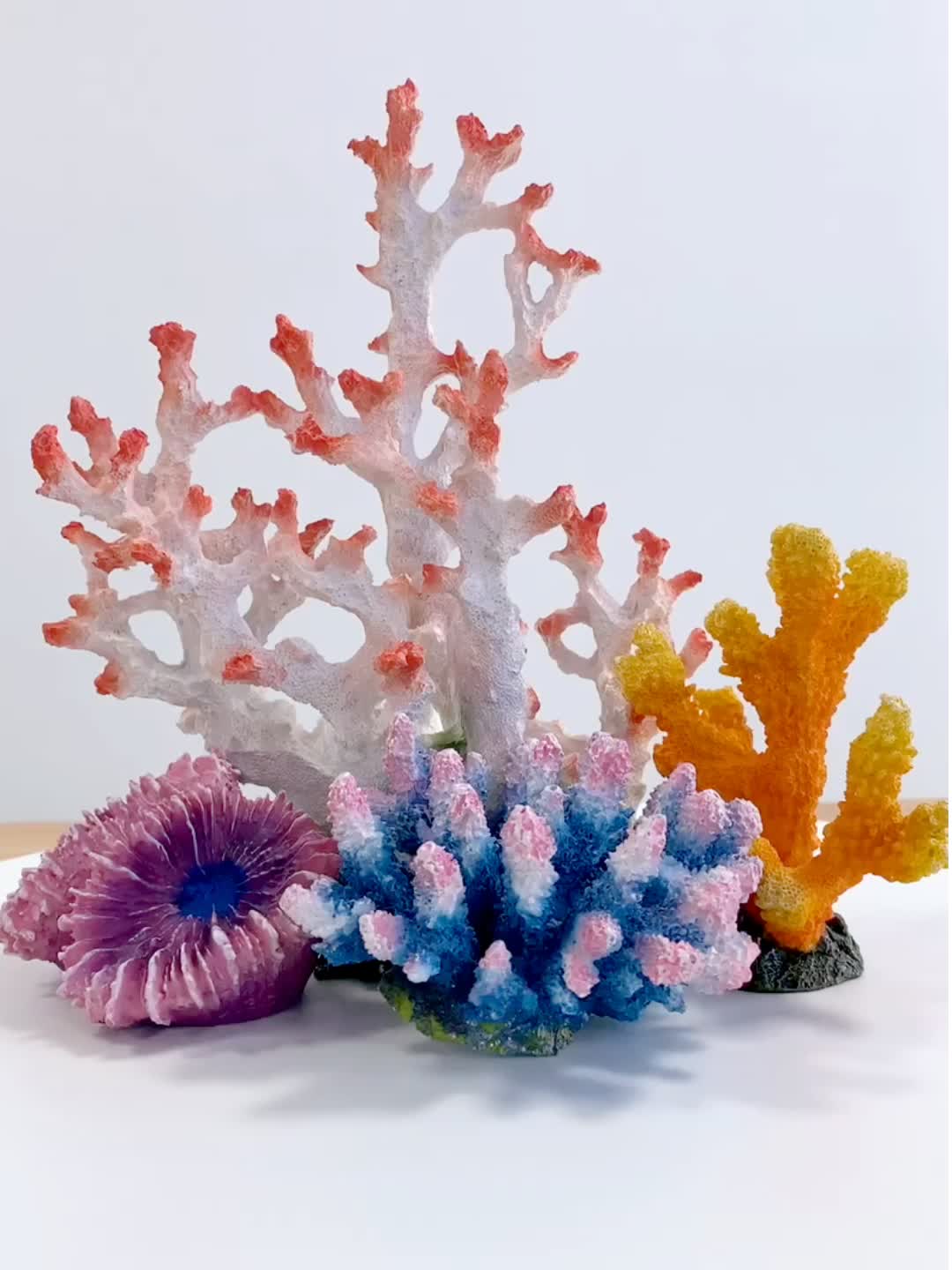 Виды кораллов и их взаимодействие с человеком