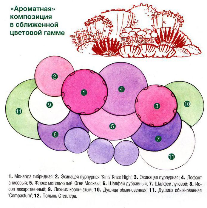 6 шагов к красивому цветнику, который легко сделать своими руками | дизайн участка (огород.ru)