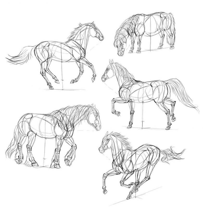 Как нарисовать коня на одежде