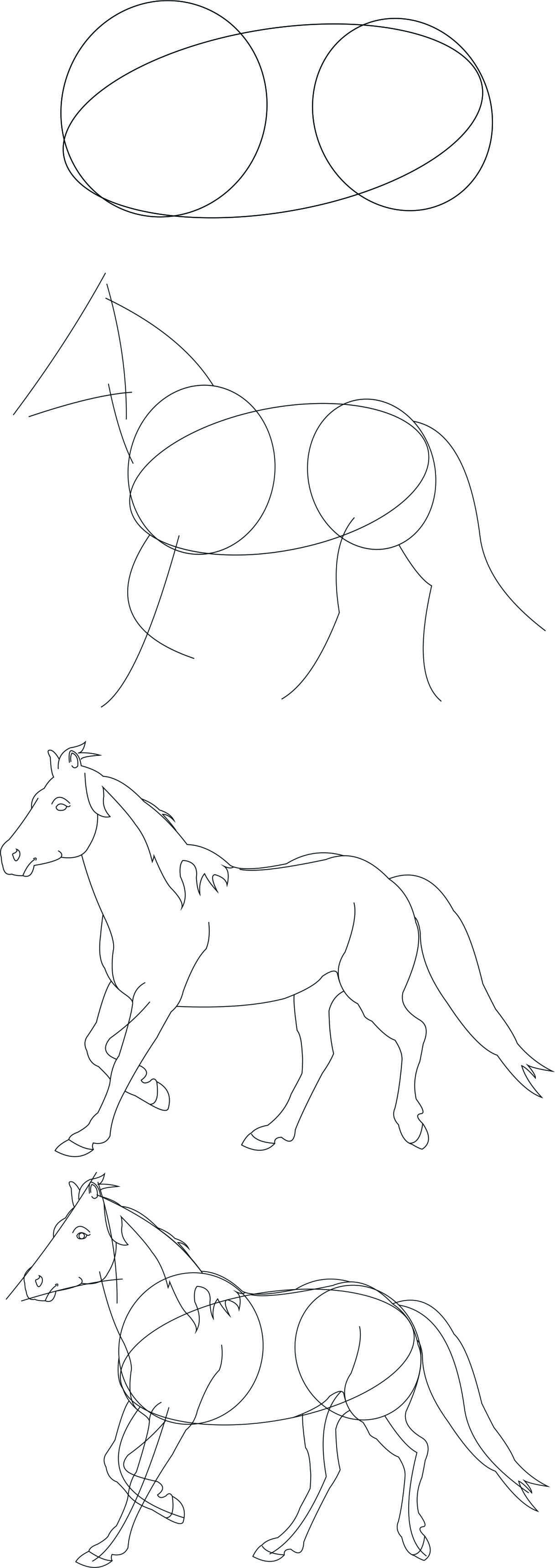 ► самые простые способы, как нарисовать лошадь карандашом поэтапно - фото креативные идеи