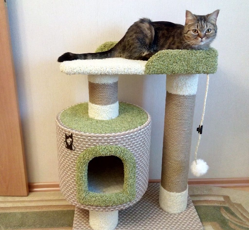 Как построить кошкин дом