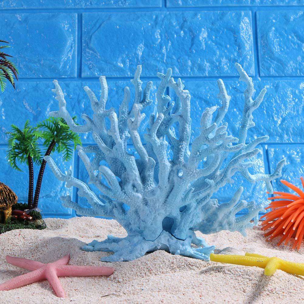 Кораллы для аквариума: виды и применение