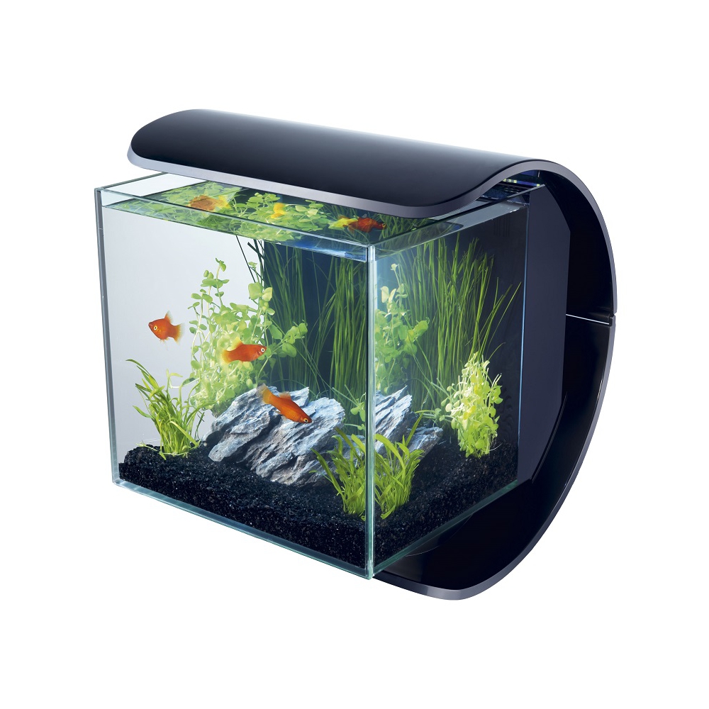 Мини-аквариумы (12 фото): каких рыбок завести в крошечном аквариуме? что нужно для маленьких аквариумов? светильники и растения для небольшого аквариума