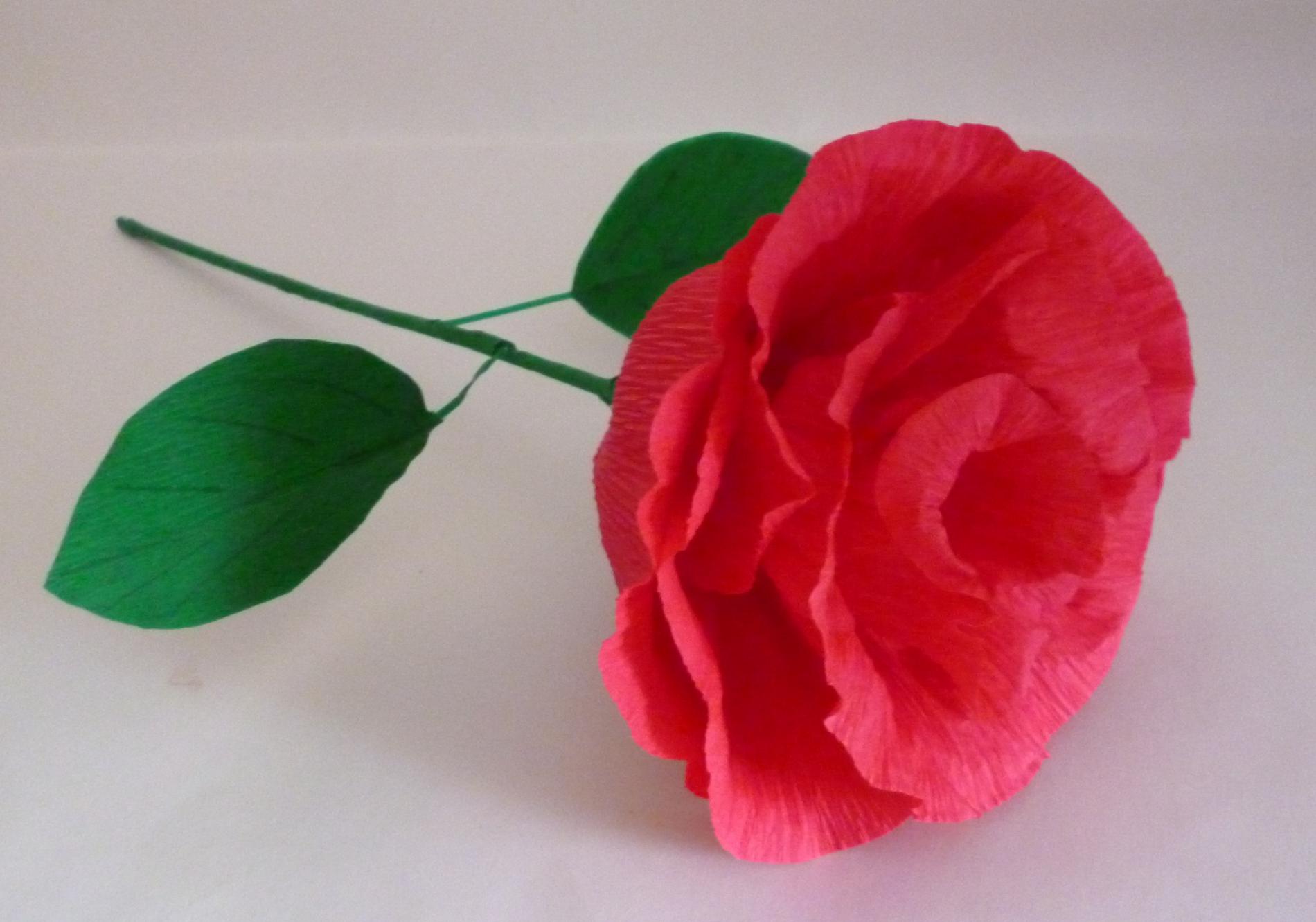 Как сделать розу из гофрированной бумаги своими руками?