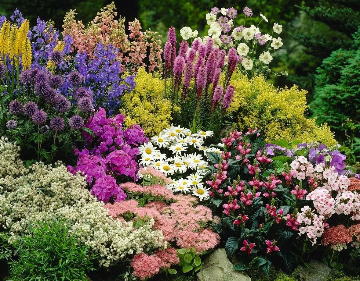 Самые красивые цветы в мире - 30 фото с названиями (каталог)