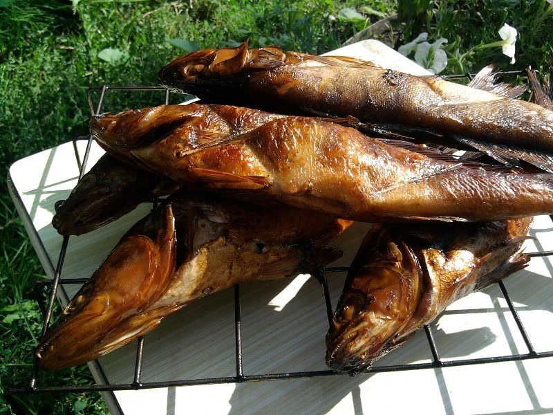 Рецепты с копченой рыбой, 51 рецепт, фото-рецепты / готовим.ру
