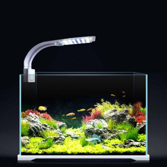 Как выбрать лучшее освещение для аквариума с растениями и все об этом! 