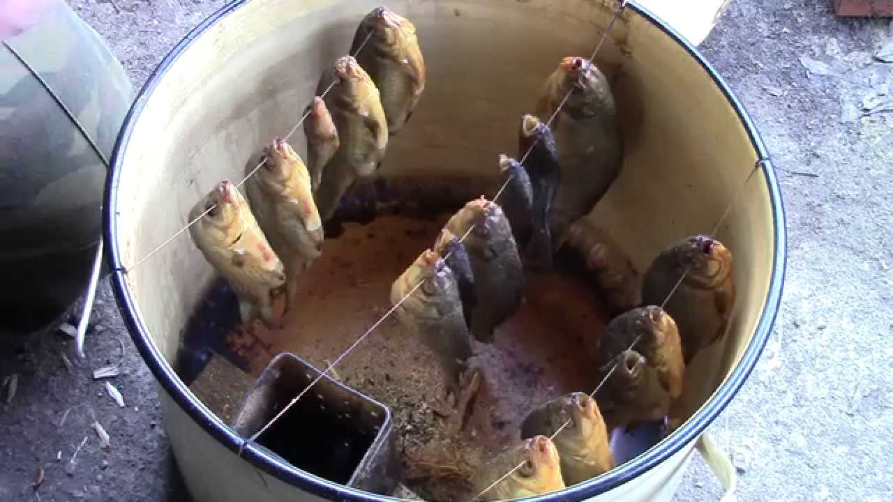Рыба горячего копчения в духовке: рецепты в домашних условиях
