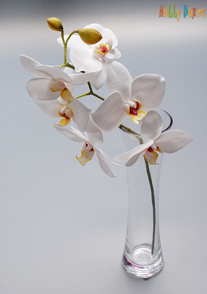 Мастер-класс "орхидея из холодного фарфора" | страна мастеров