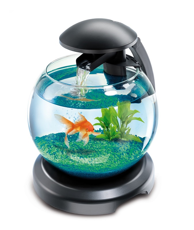 Мини-аквариум