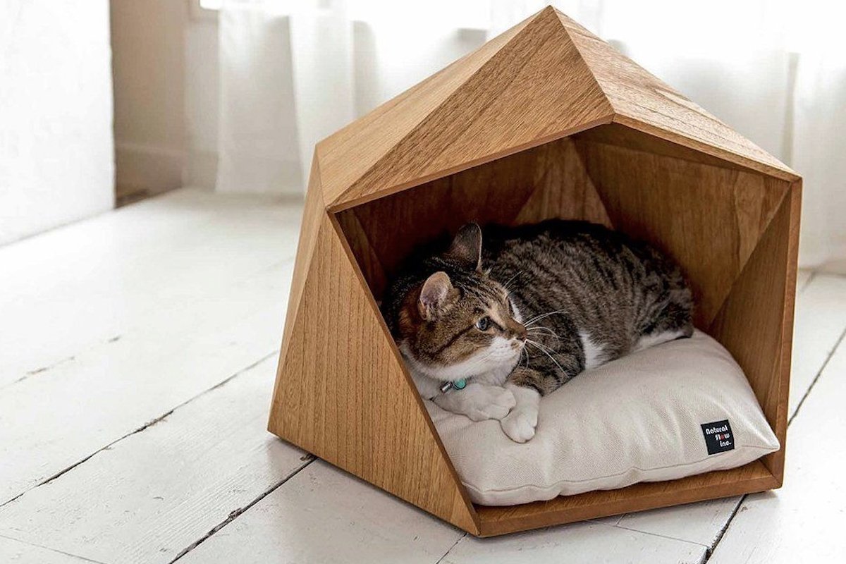 Как сделать домик для кота своими руками: 13 идей и мастер классов