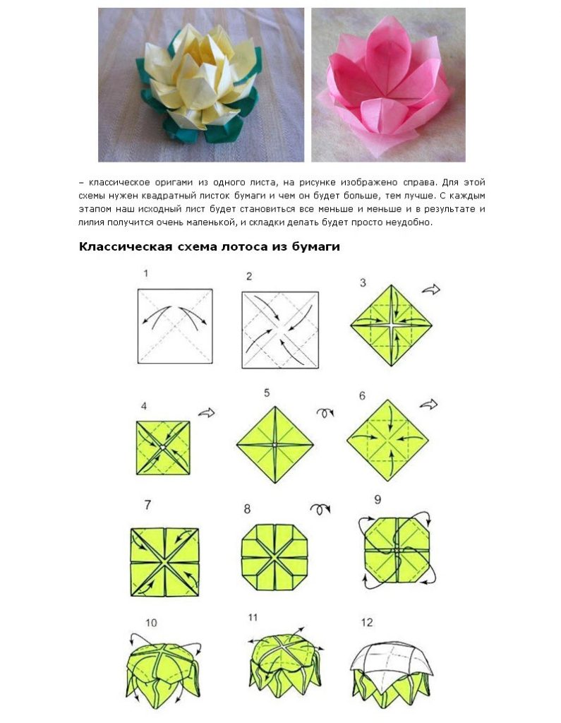Лотос из бумаги: как сделать объемный цветок в технике оригами, фото и видео уроки