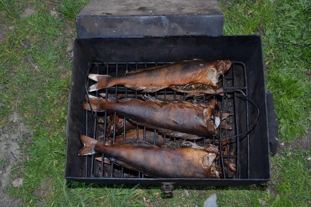 Как коптить рыбу в коптильне горячего копчения: рецепты, как подготовить к приготовлению