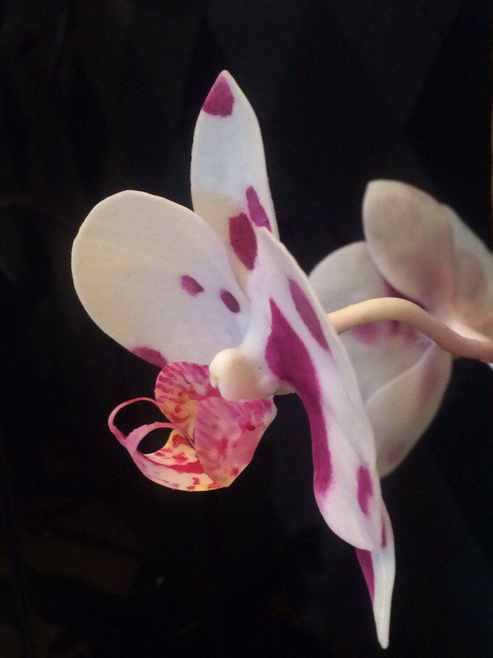 Кольцо из холодного фарфора с орхидеей
