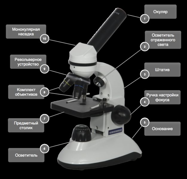 Микроскоп своими руками: пошаговый мастер-класс изготовления электронного микроскопа в домашних условиях
