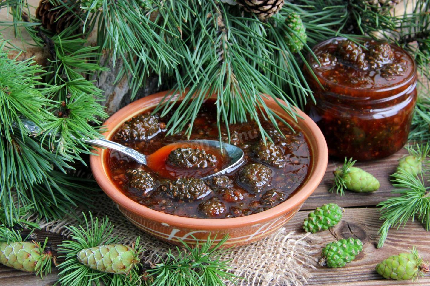 Варенье из сосновых шишек: полезные и вкусные рецепты