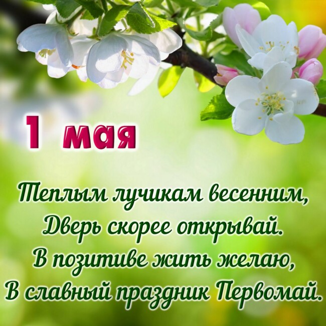Поздравления с 1 мая, праздником весны: прикольные в картинках и стихах.