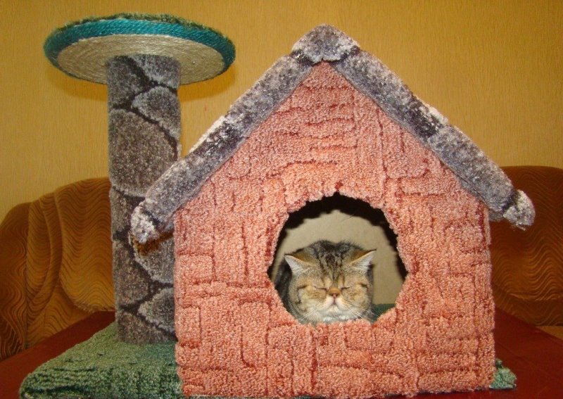 Как сделать домик для кошки своими руками - обзор лучших моделей и советы по постройке (видео + 105 фото)