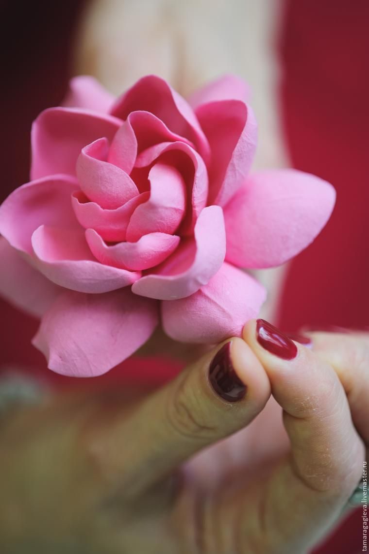 Лепка цветов из полимерной глины — пошаговые мастер — классы с фото для начинающих