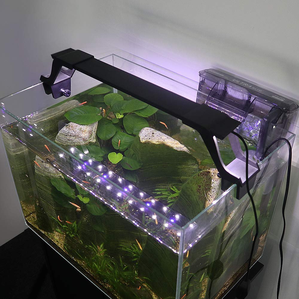 Лампа для аквариума: виды ламп, спектр, какую выбрать?