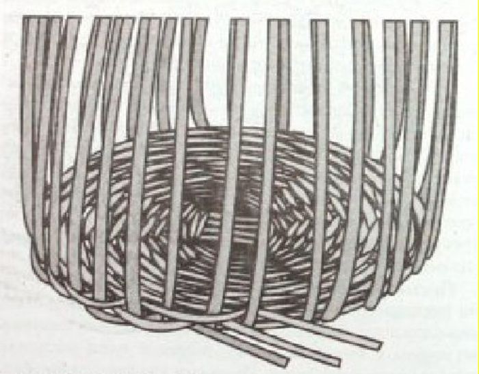 Пошаговая схема плетения корзин из ивы для начинающих