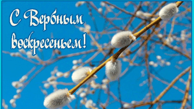 На вербное воскресенье принято поздравлять в стихах - "слово без границ" - новости россии и мира сегодня