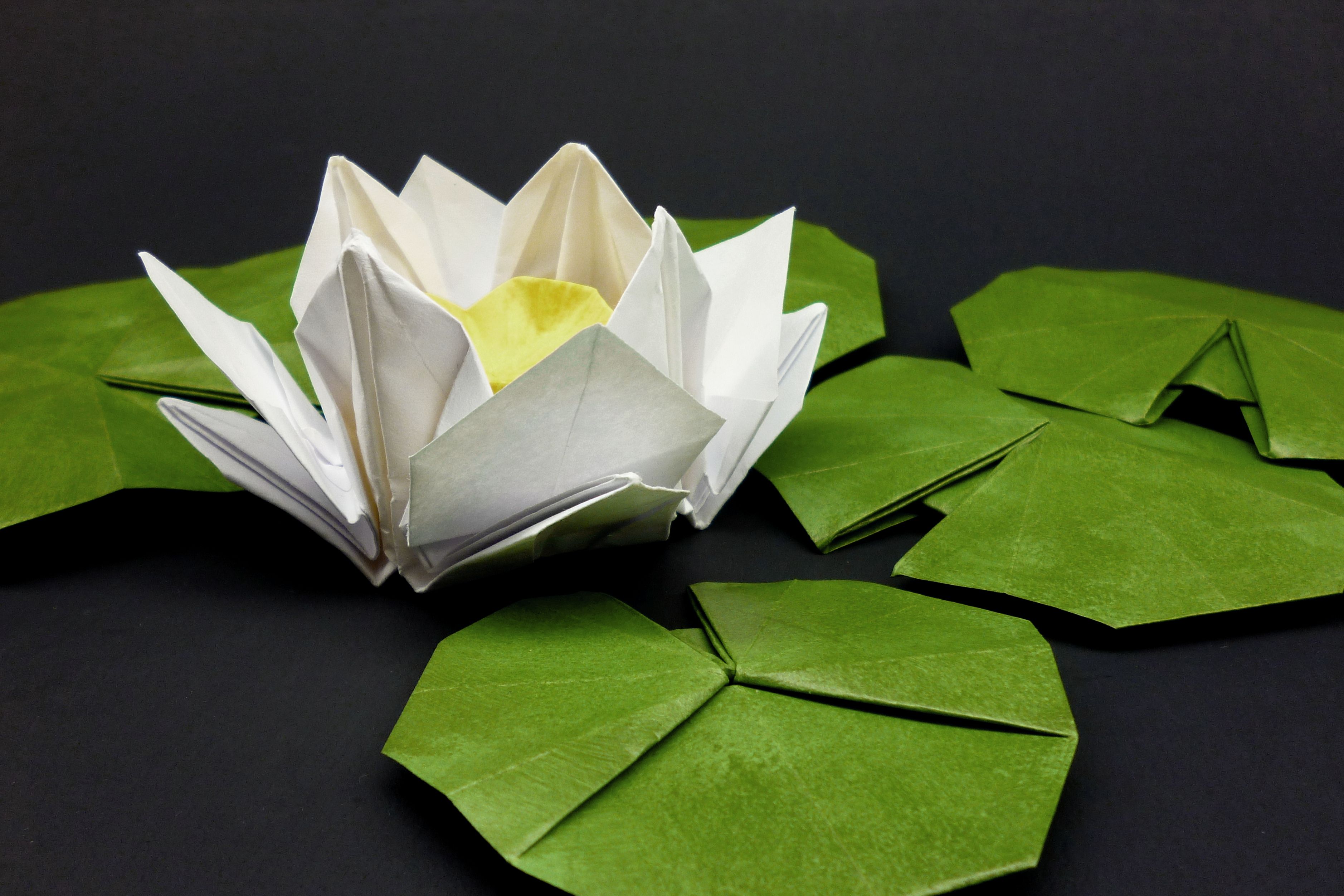 Цветок лотоса из гофрированной бумаги — своими руками